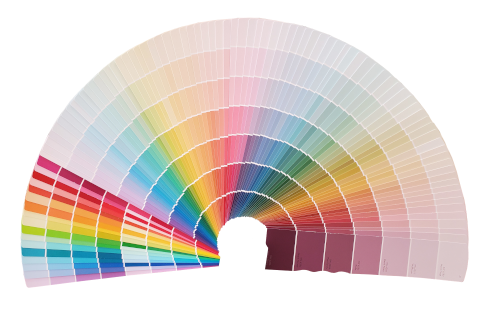 Color palette of swatches of paint colors